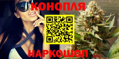 сатива Мариинск