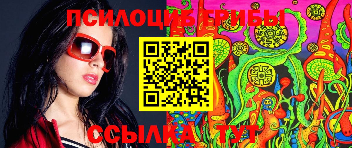 Псилоцибиновые грибы мицелий Гулькевичи